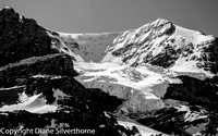 DSC_2538.jpg