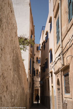 morocco-207.jpg